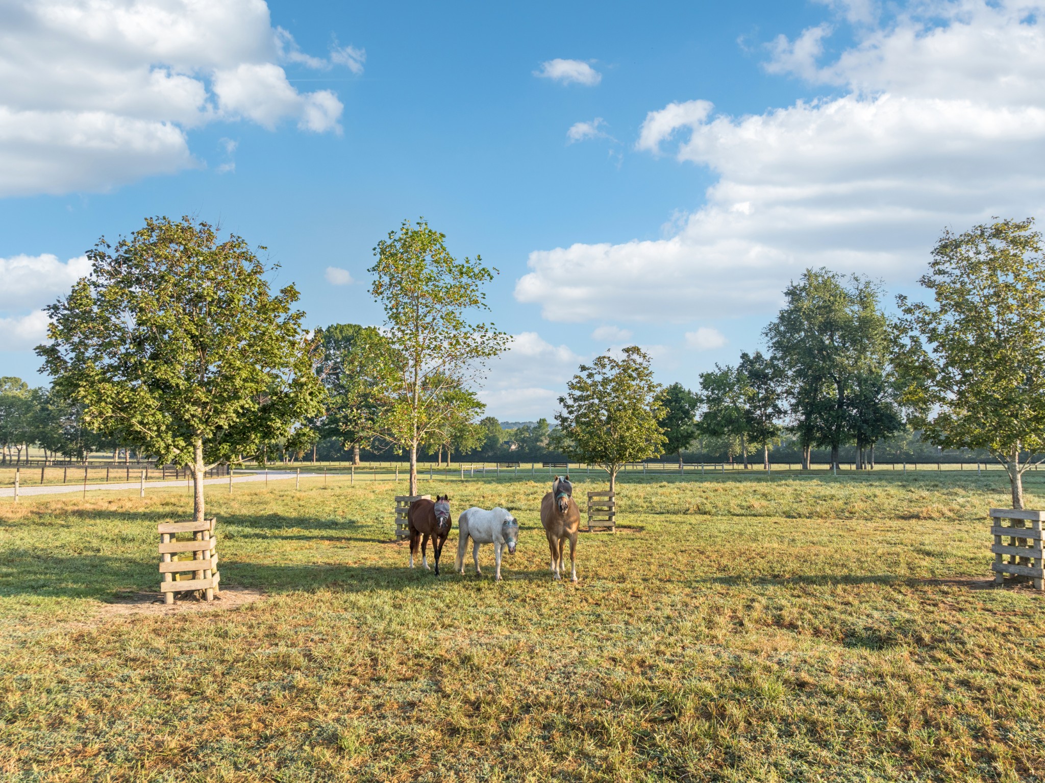 2T Old Hillsboro Road Franklin TN 37064