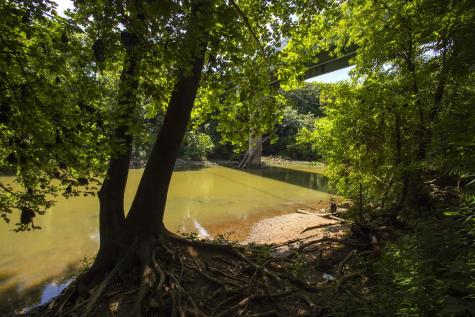 1562 Oak Springs Drive Columbia TN 38401