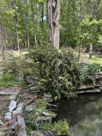 1911 Hickory Place Monteagle TN 37356