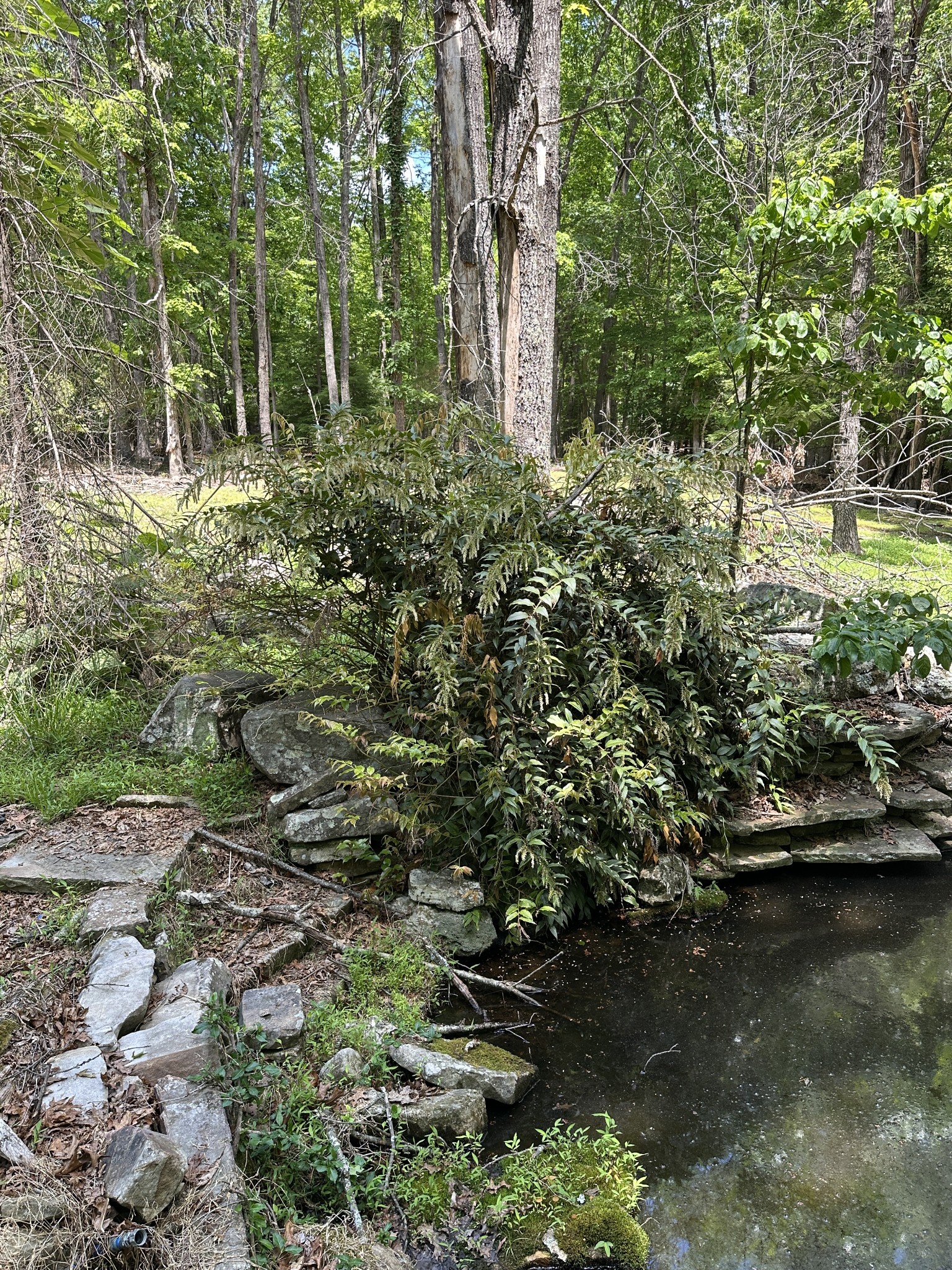 1911 Hickory Place Monteagle TN 37356