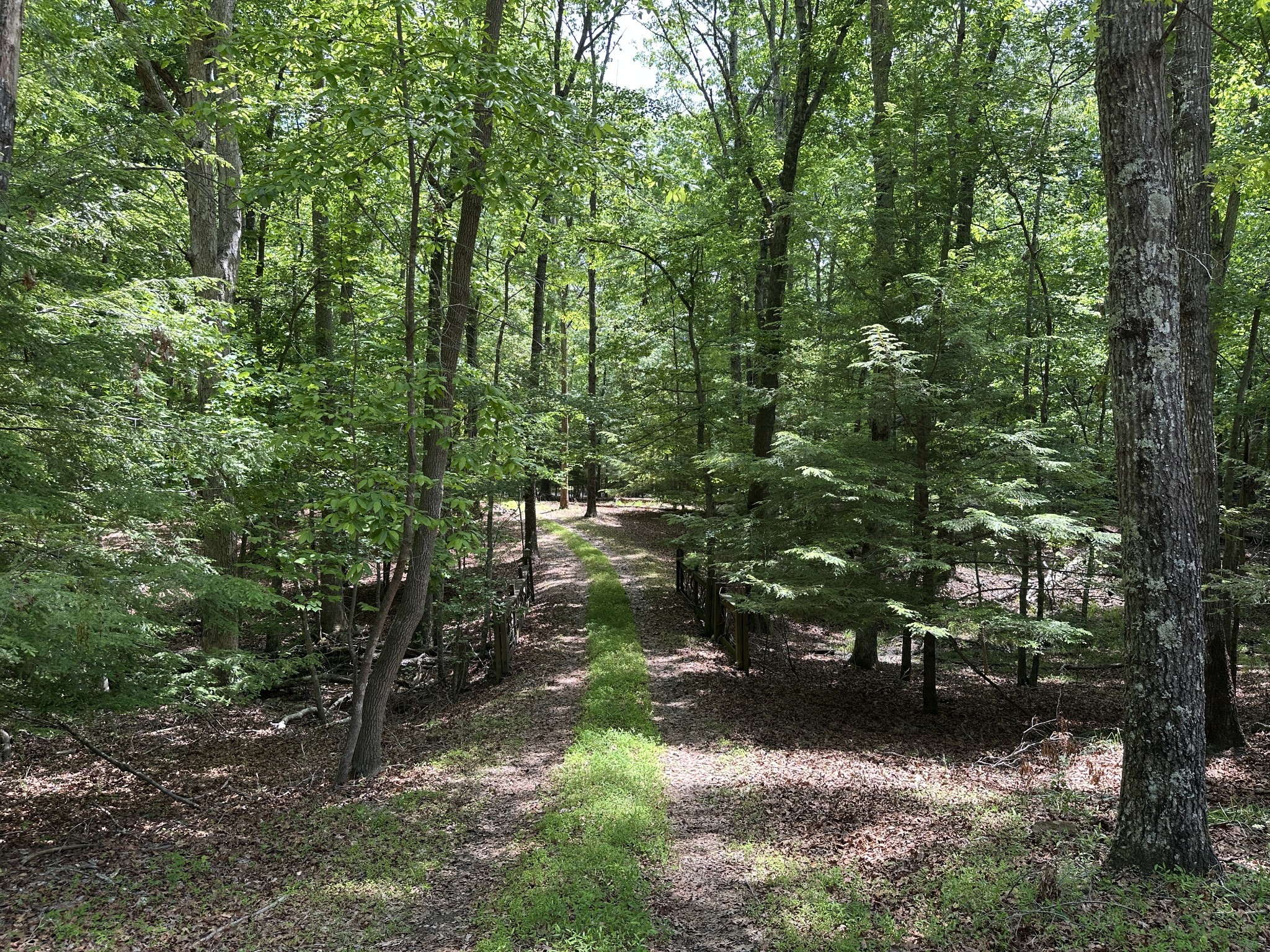 1911 Hickory Place Monteagle TN 37356