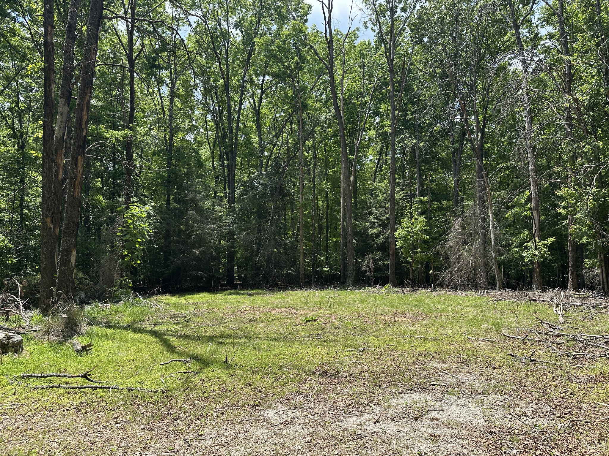 1911 Hickory Place Monteagle TN 37356