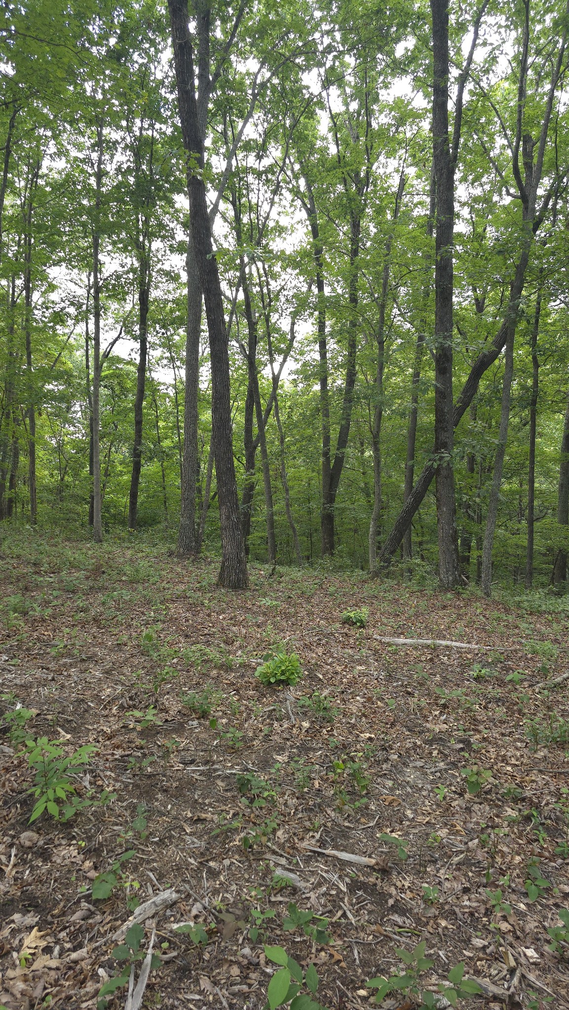 0 Bluff Point Spencer TN 38585