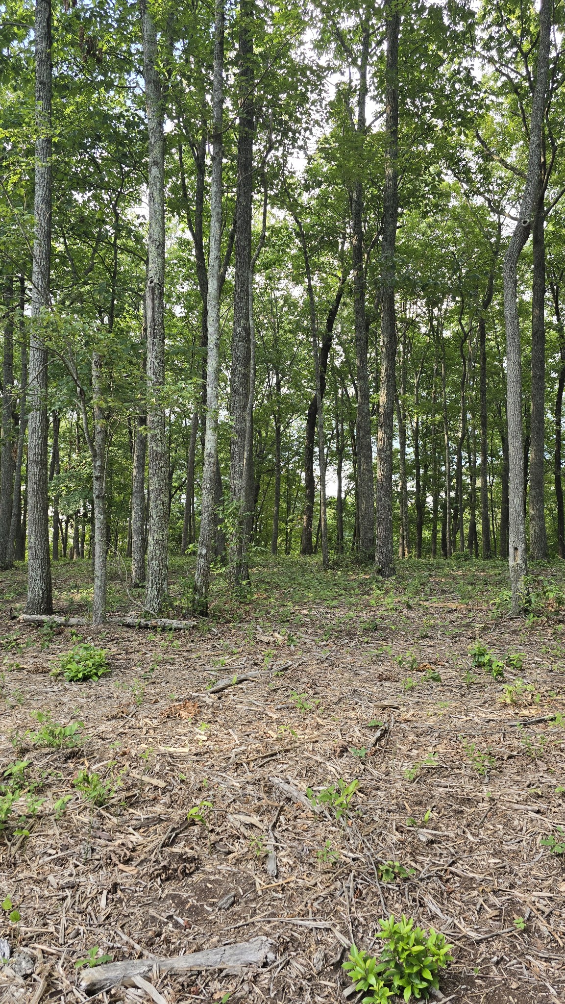 0 Bluff Point Spencer TN 38585