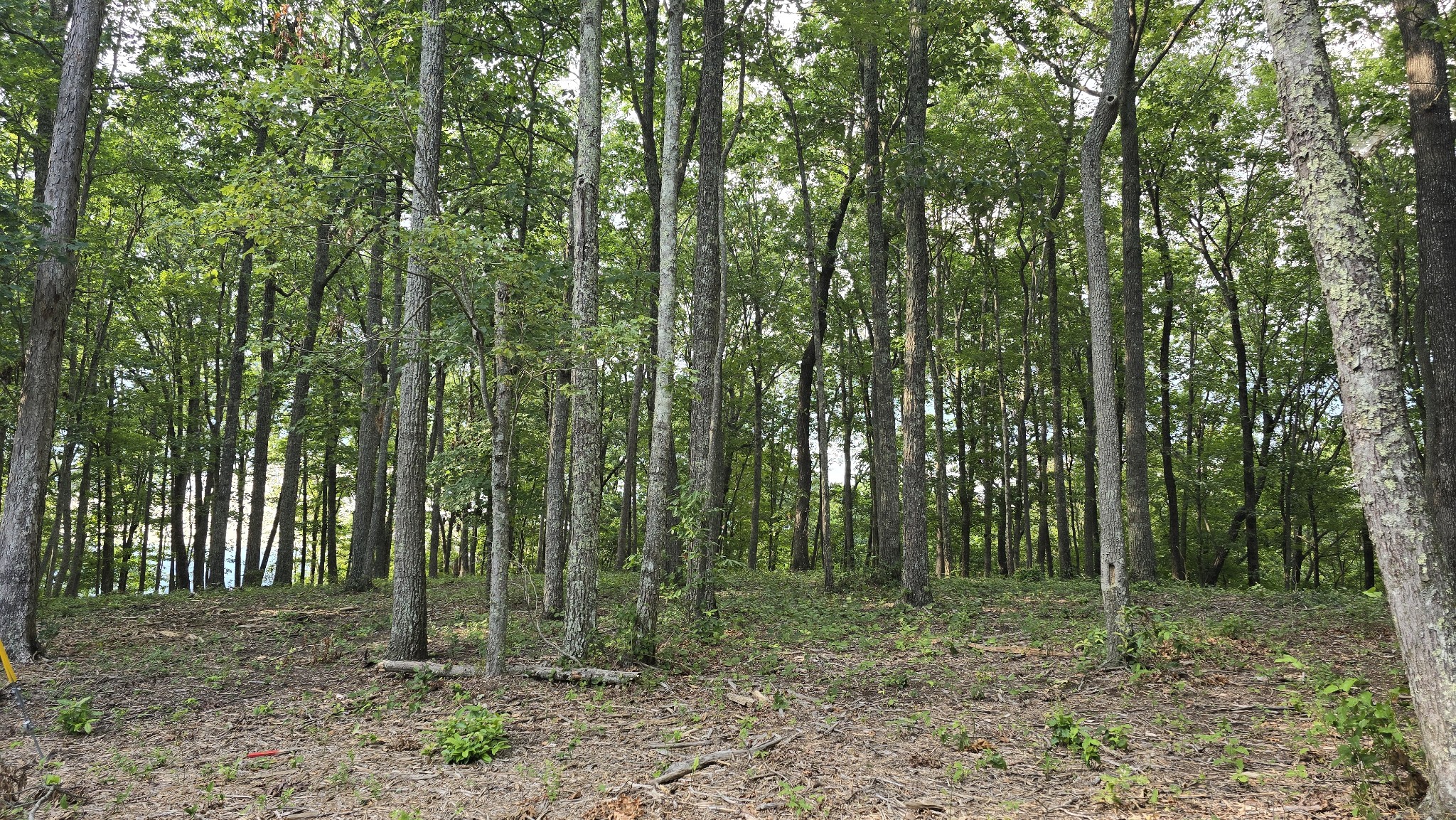 0 Bluff Point Spencer TN 38585