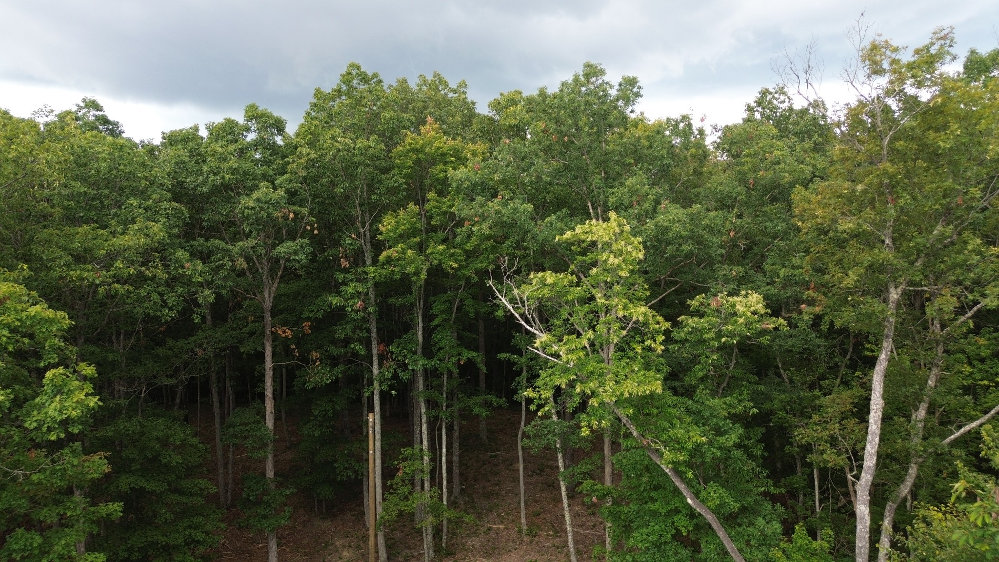 0 Bluff Point Spencer TN 38585