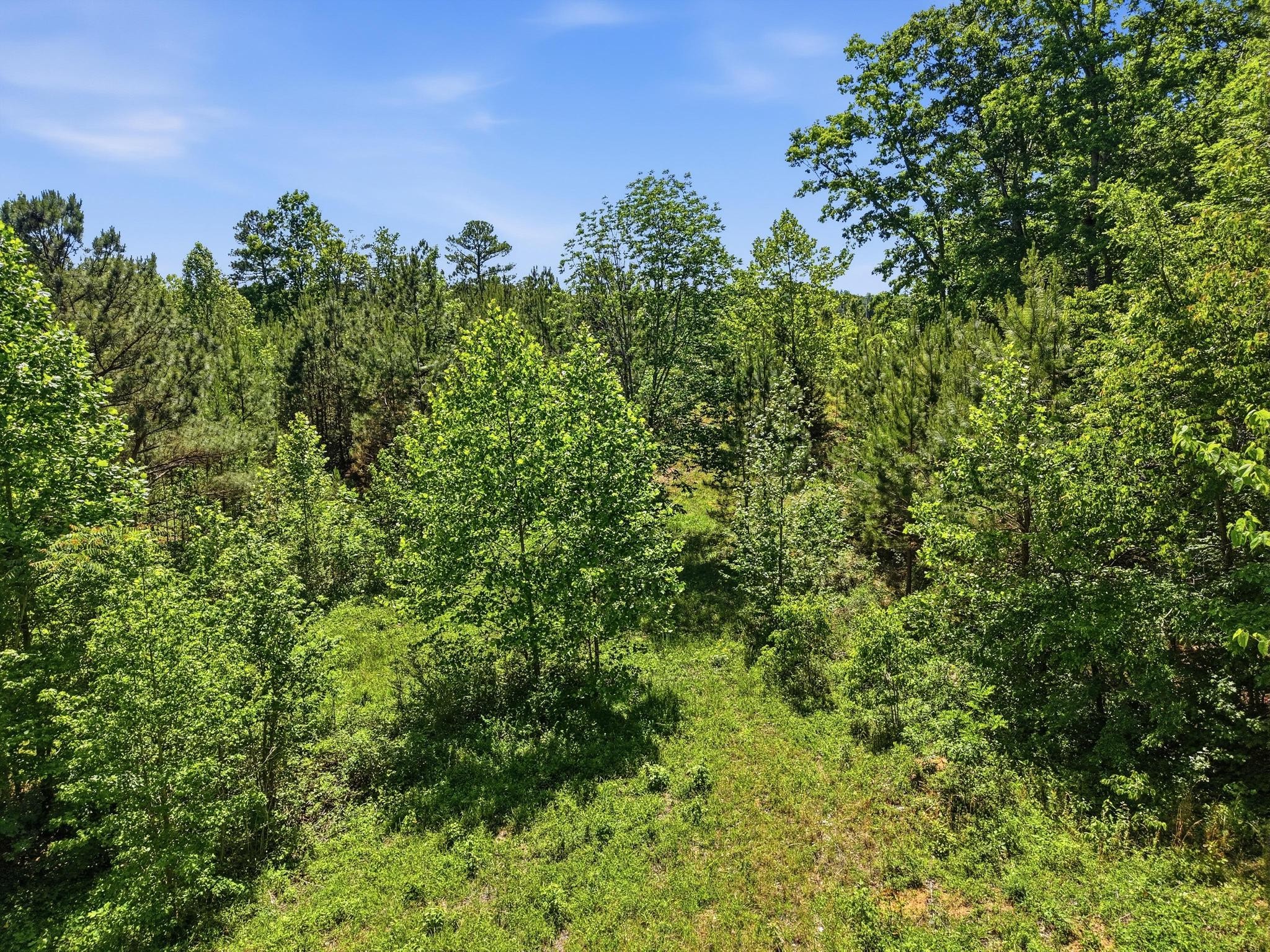 6 Falling Water Road Cookeville TN 38506