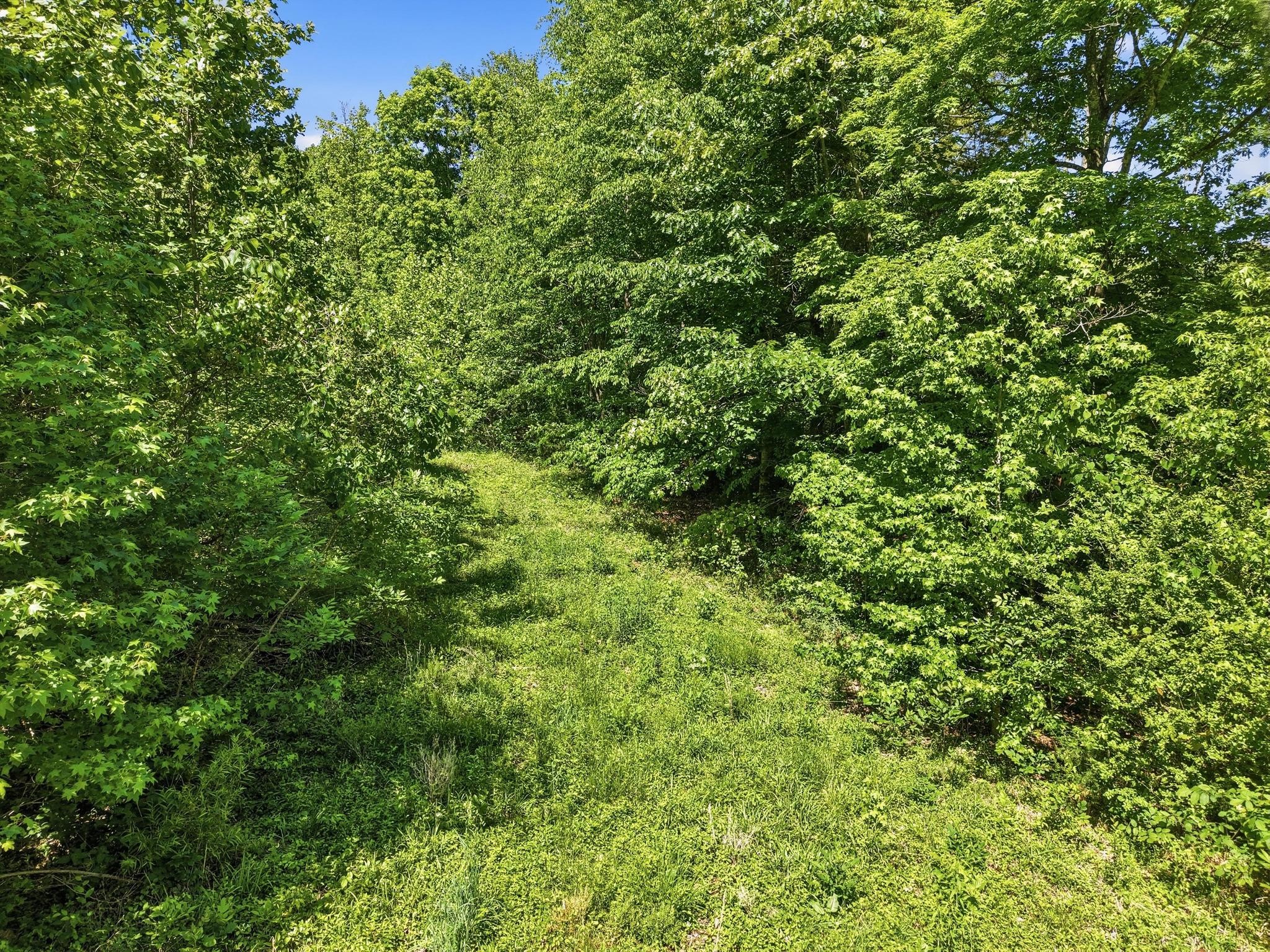 6 Falling Water Road Cookeville TN 38506