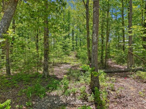 51 Mossy Rock Lane Monteagle TN 37356