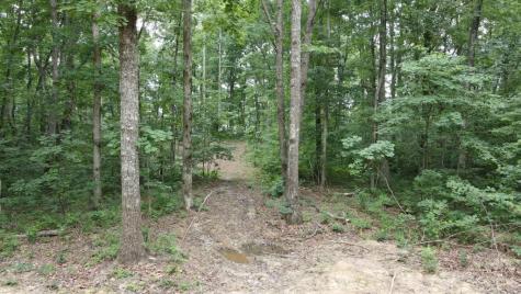 51 Mossy Rock Lane Monteagle TN 37356