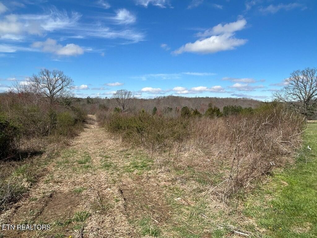 0 Holt Spur Drive Jamestown TN 38556