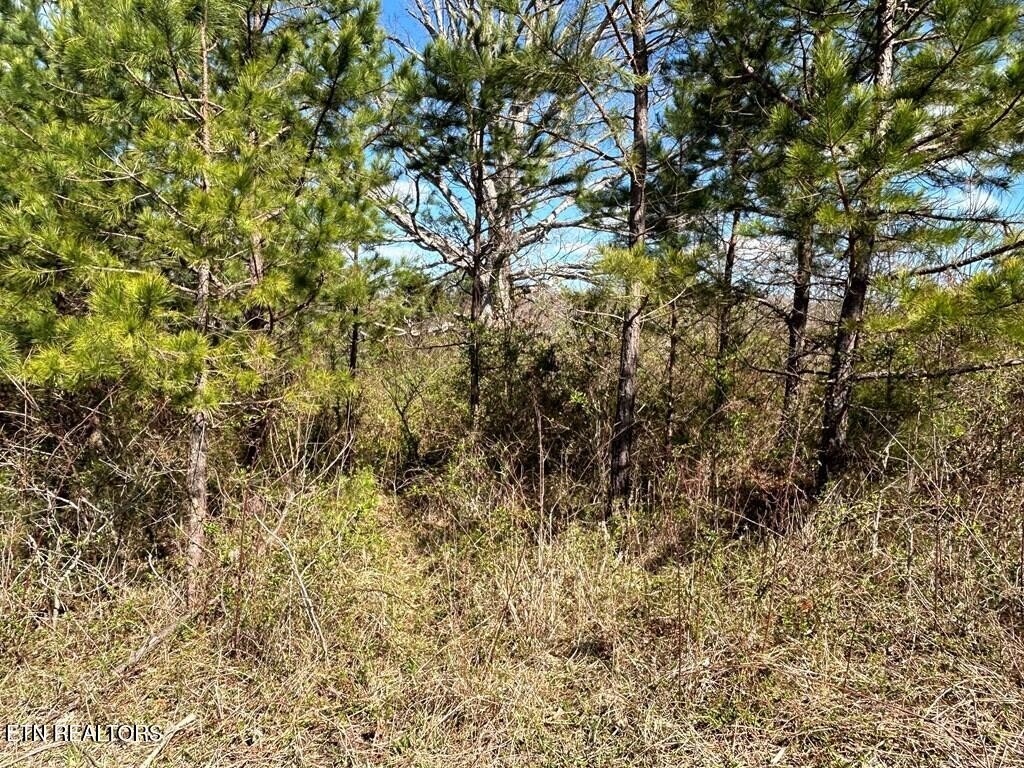 0 Holt Spur Drive Jamestown TN 38556