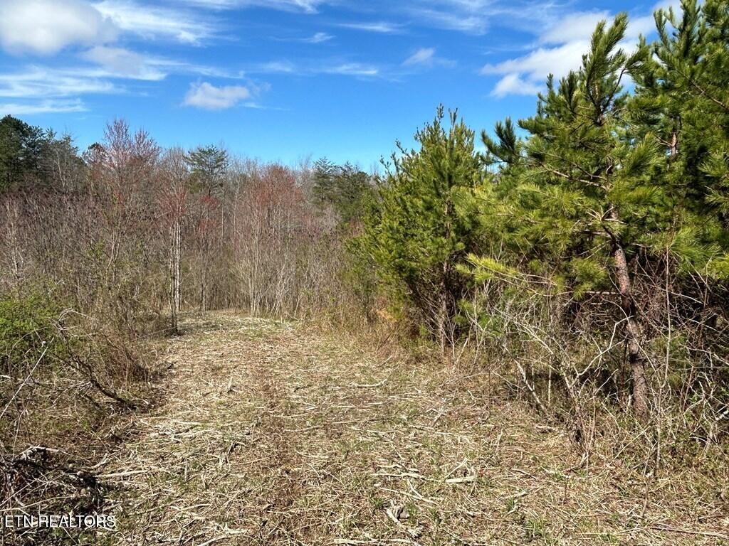 0 Holt Spur Drive Jamestown TN 38556