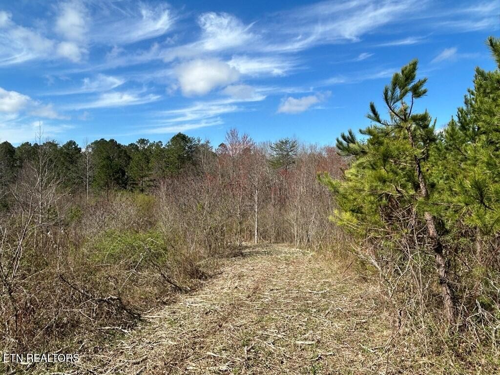 0 Holt Spur Drive Jamestown TN 38556
