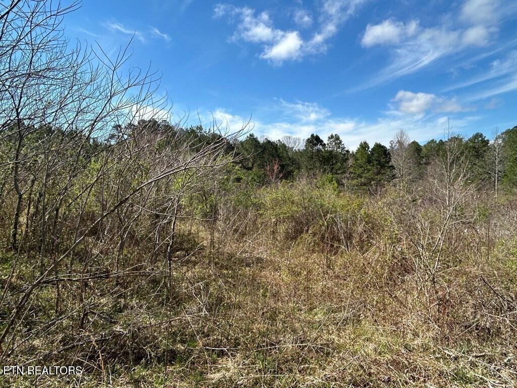 0 Holt Spur Drive Jamestown TN 38556