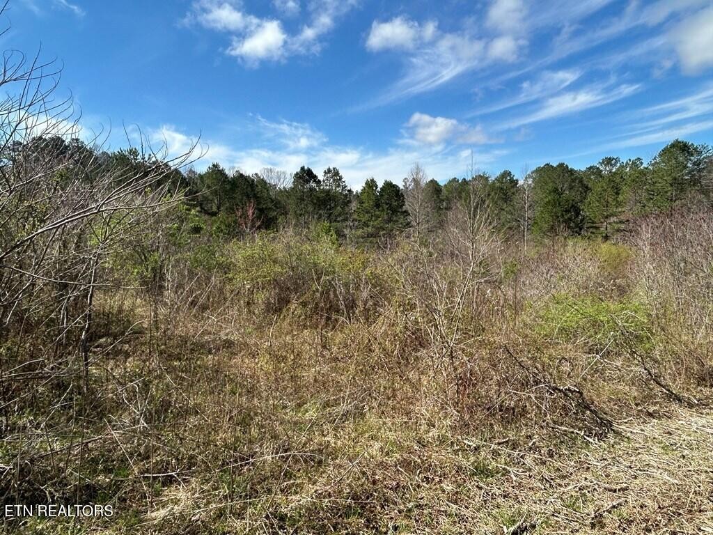 0 Holt Spur Drive Jamestown TN 38556