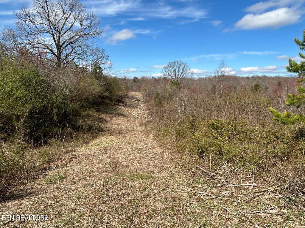 0 Holt Spur Drive Jamestown TN 38556