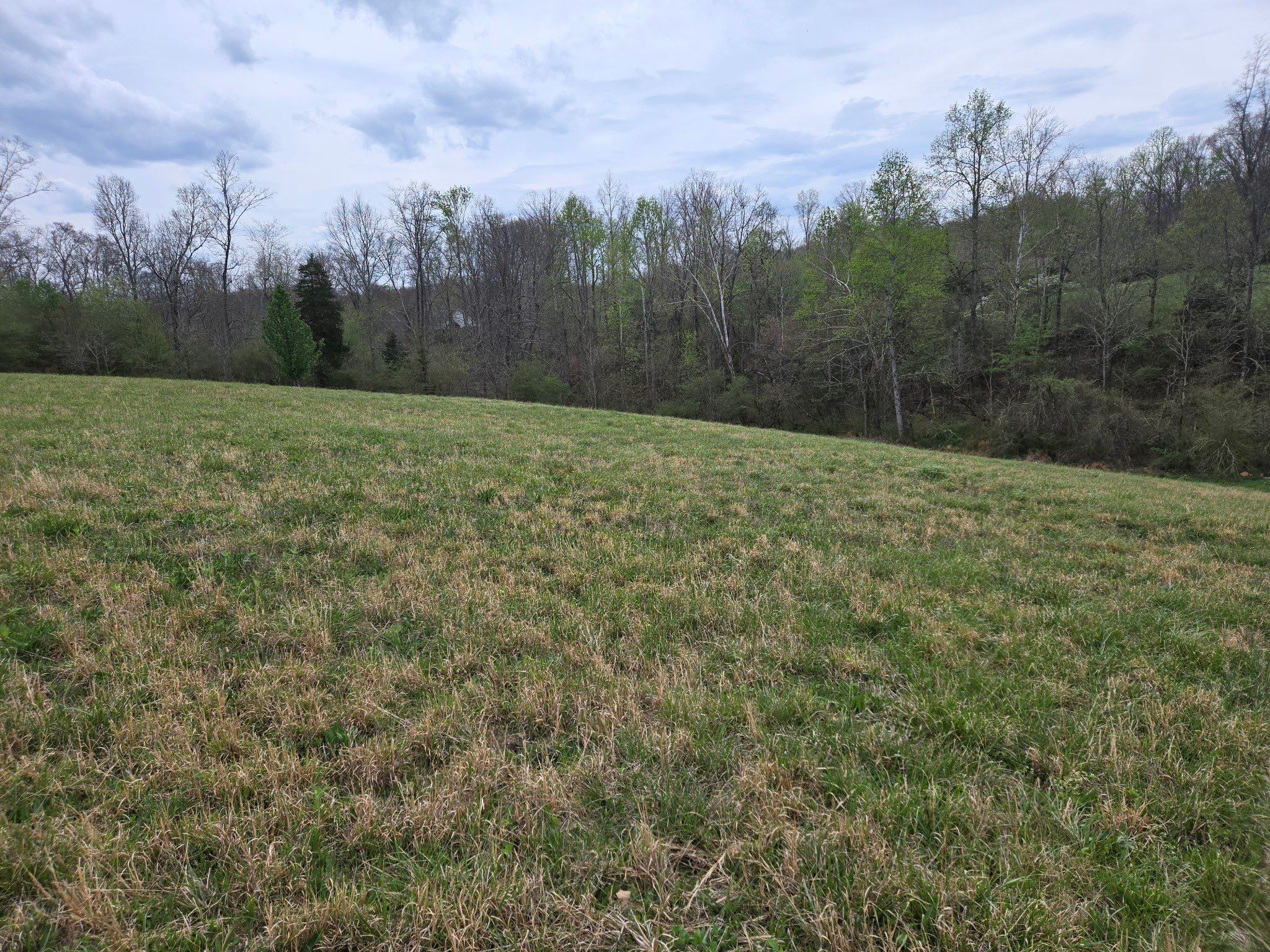 0 Cowan Road Dickson TN 37055