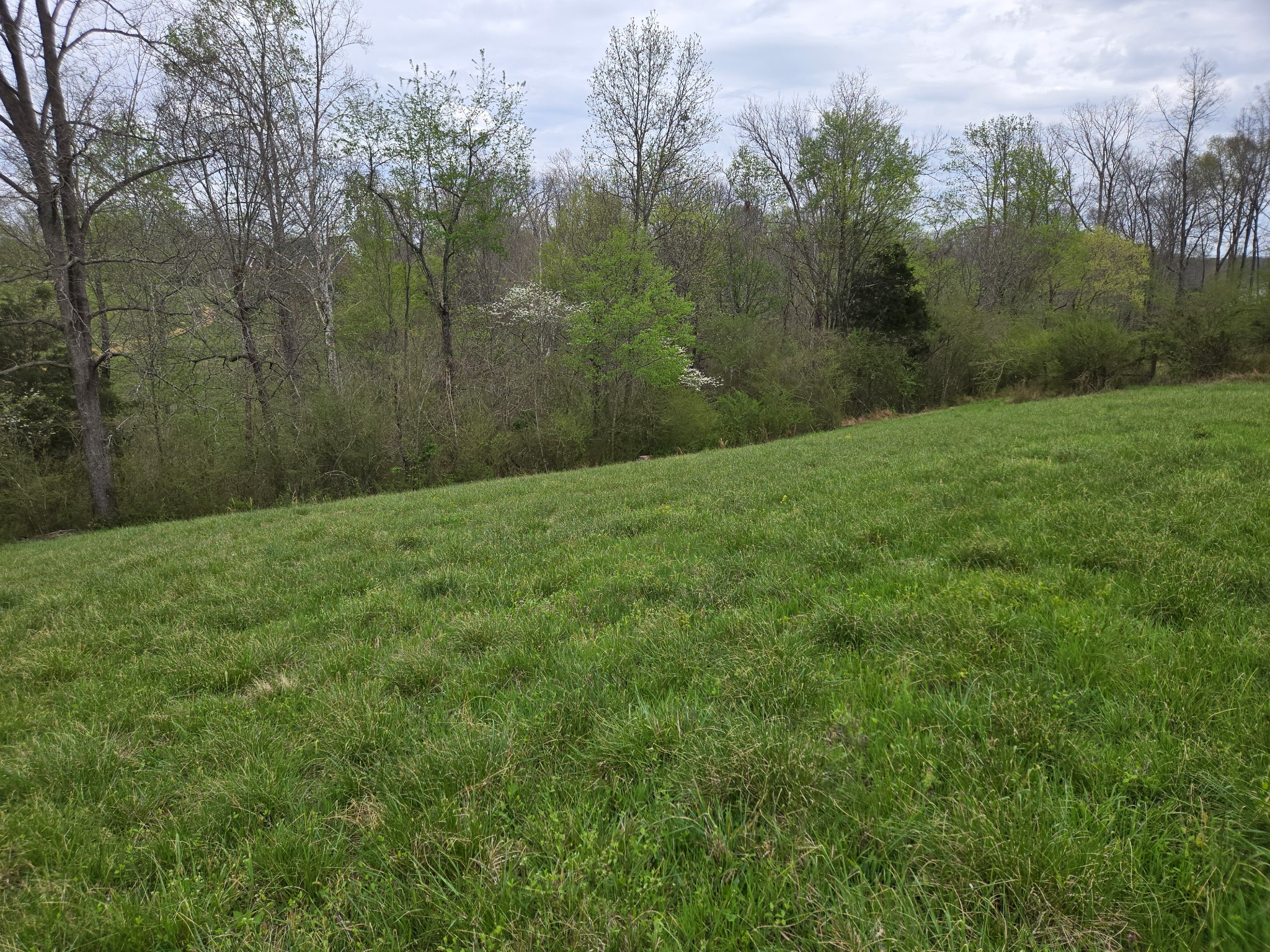 0 Cowan Road Dickson TN 37055
