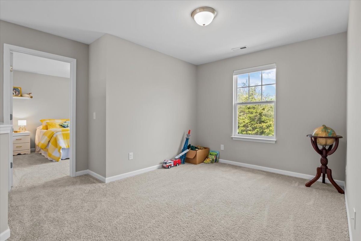 10011 Wendy Way Lyles TN 37098