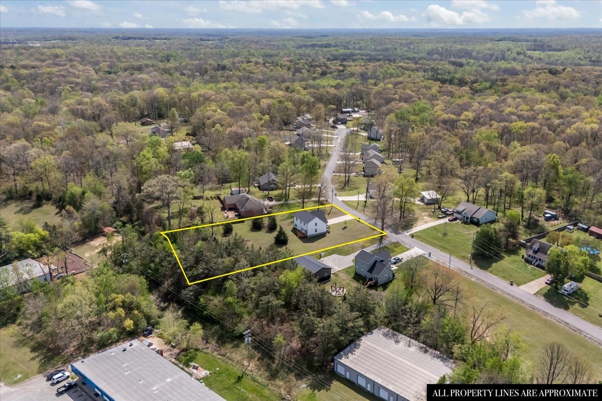 10011 Wendy Way Lyles TN 37098