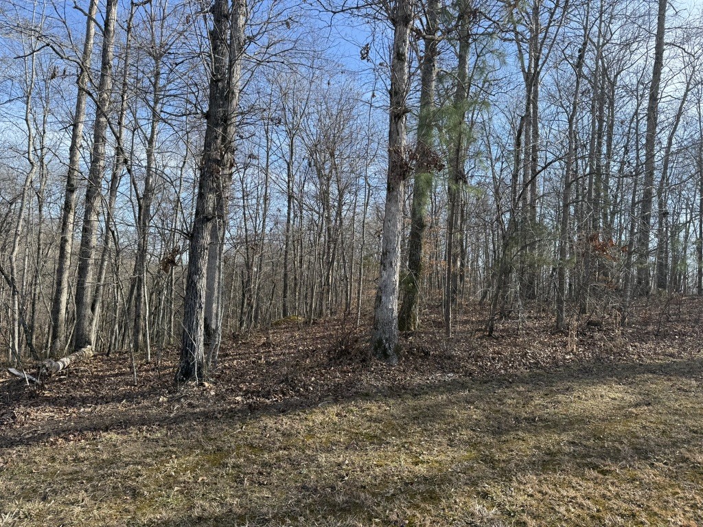 0 Riverwatch Trace Sparta TN 38583