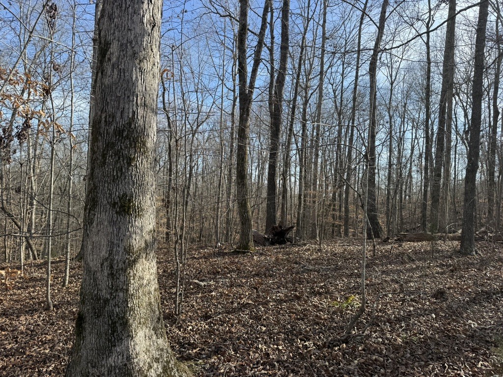 0 Riverwatch Trace Sparta TN 38583