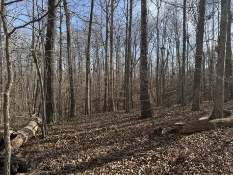 0 Riverwatch Trace Sparta TN 38583