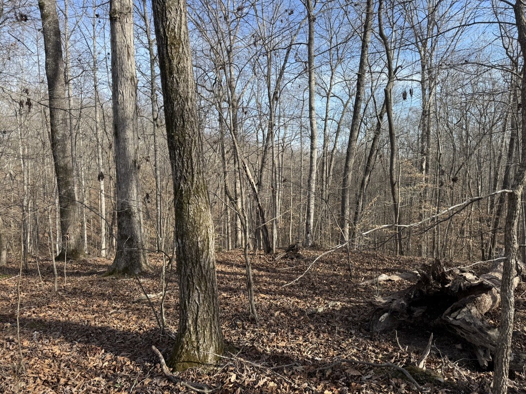 0 Riverwatch Trace Sparta TN 38583