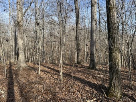 0 Riverwatch Trace Sparta TN 38583