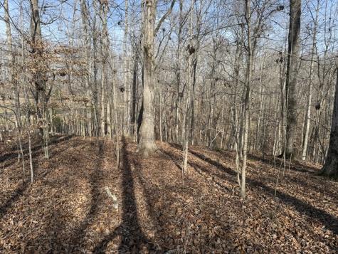 0 Riverwatch Trace Sparta TN 38583