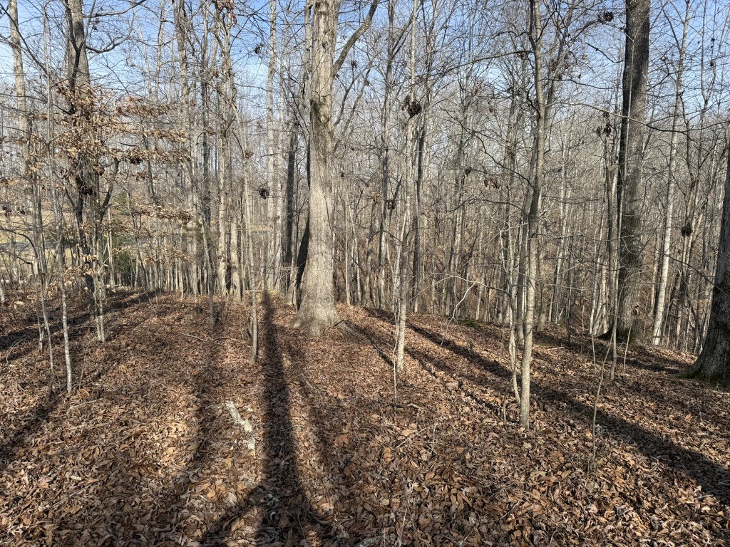0 Riverwatch Trace Sparta TN 38583