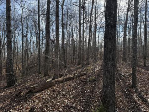 0 Riverwatch Trace Sparta TN 38583