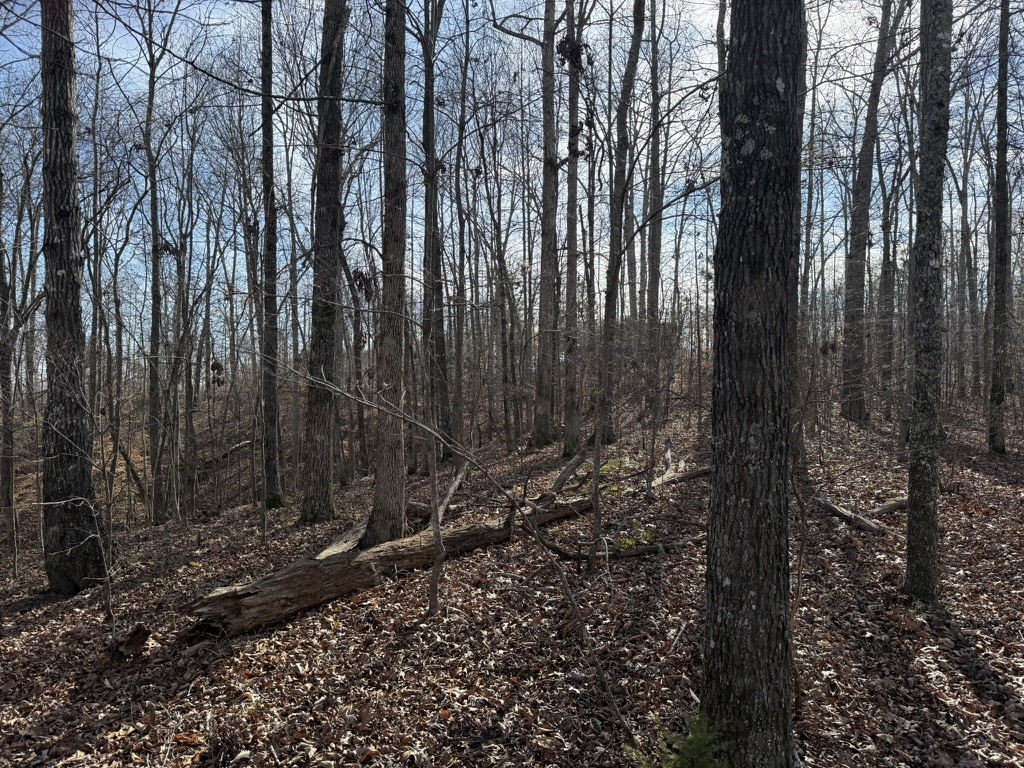 0 Riverwatch Trace Sparta TN 38583