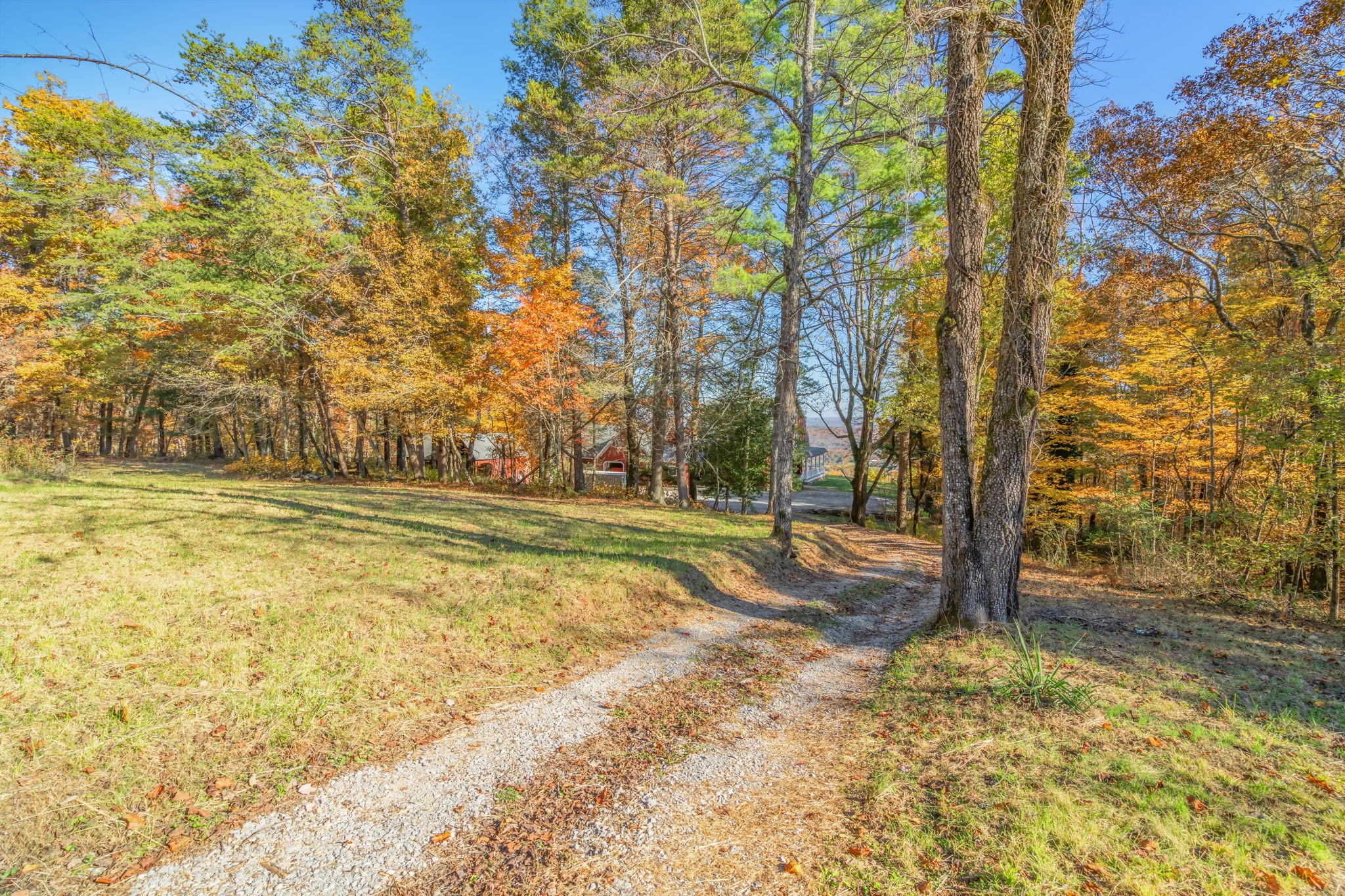 692 Possum Trot Road Grandview TN 37337