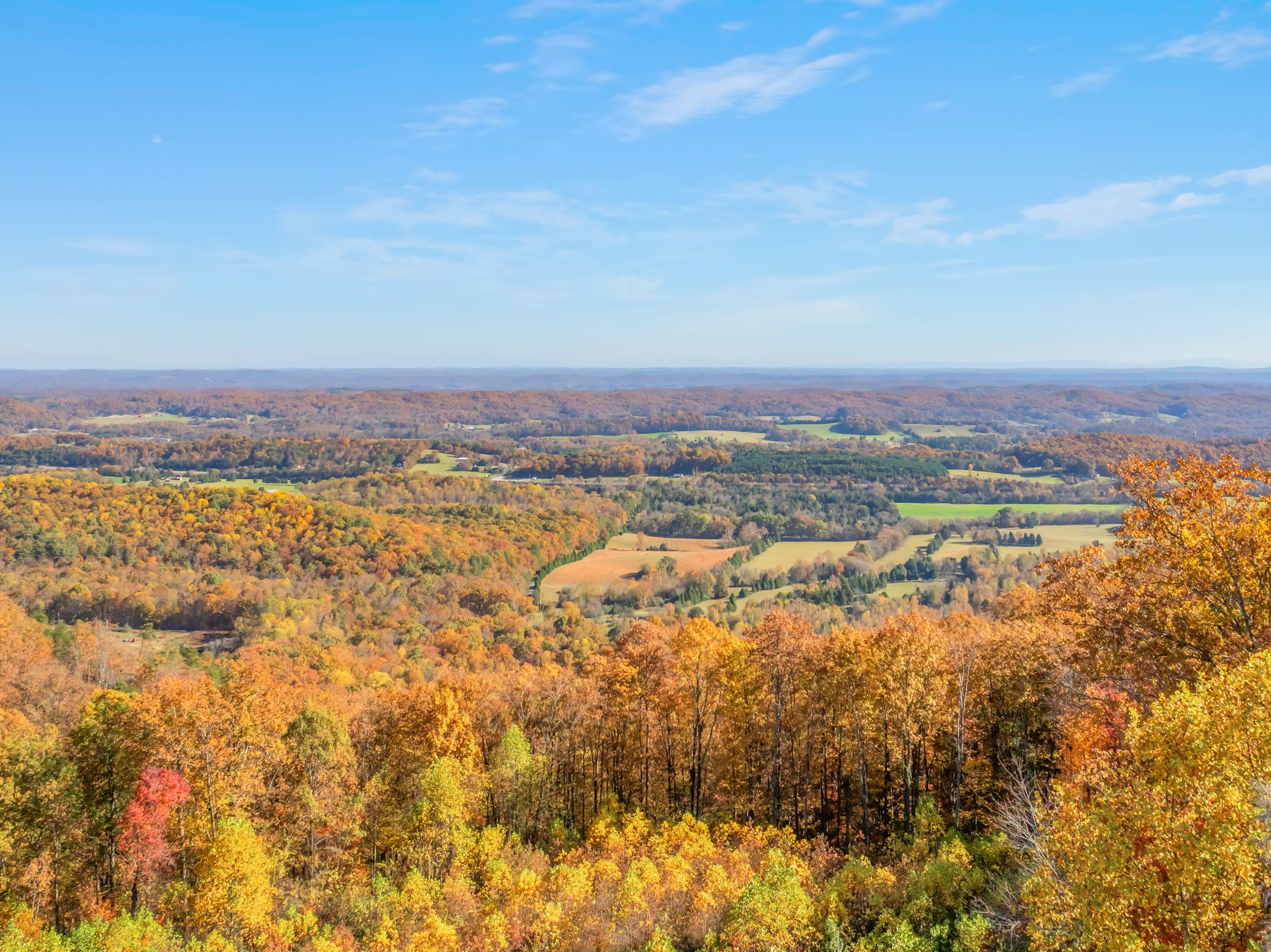 692 Possum Trot Road Grandview TN 37337