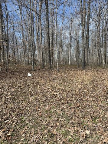 0 Three Rivers Drive Lots 129 & 130 Hurricane Mills TN 37078