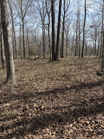 0 Three Rivers Drive Lots 129 & 130 Hurricane Mills TN 37078