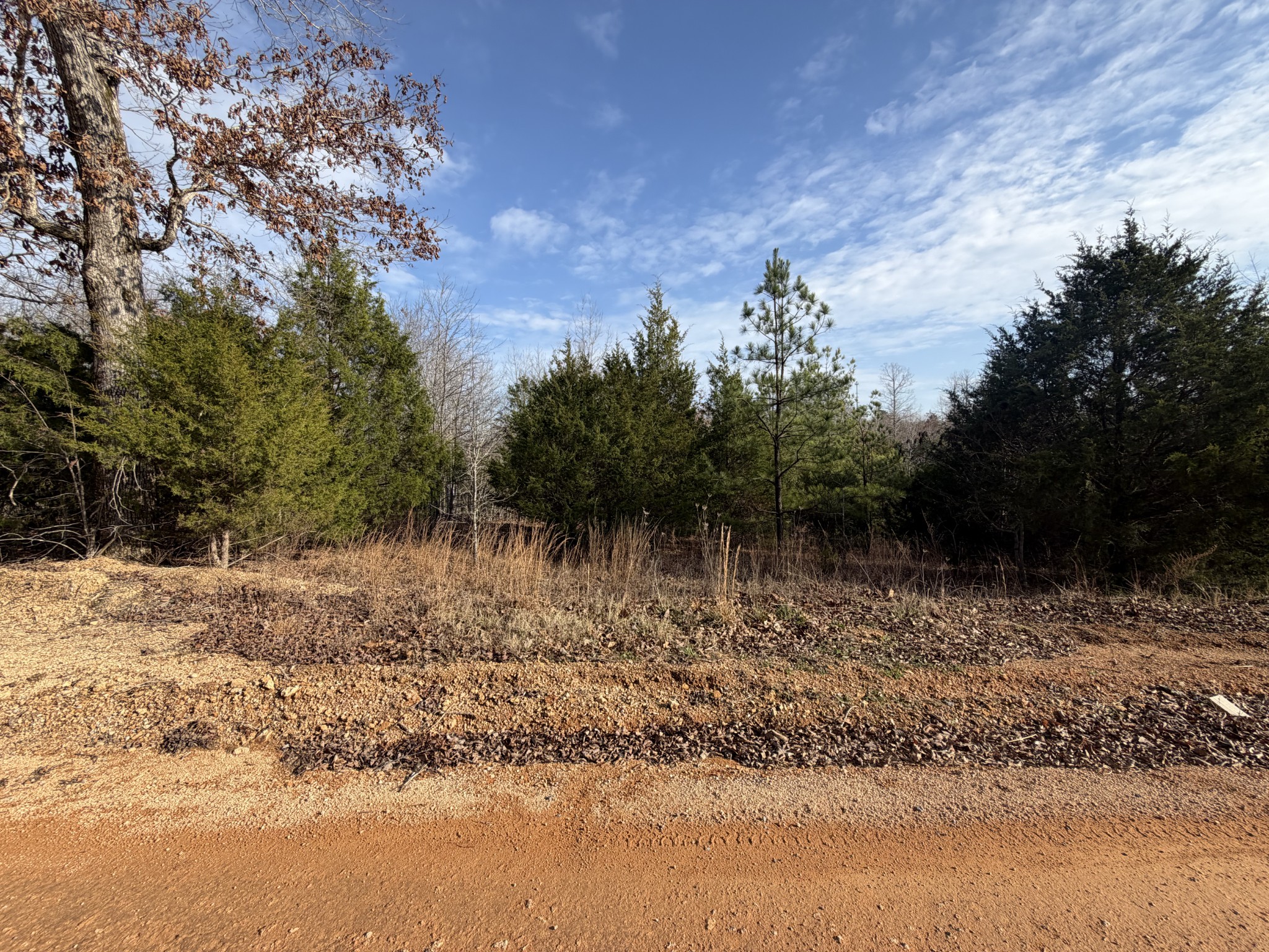 0 Highway 50, W Centerville TN 37033