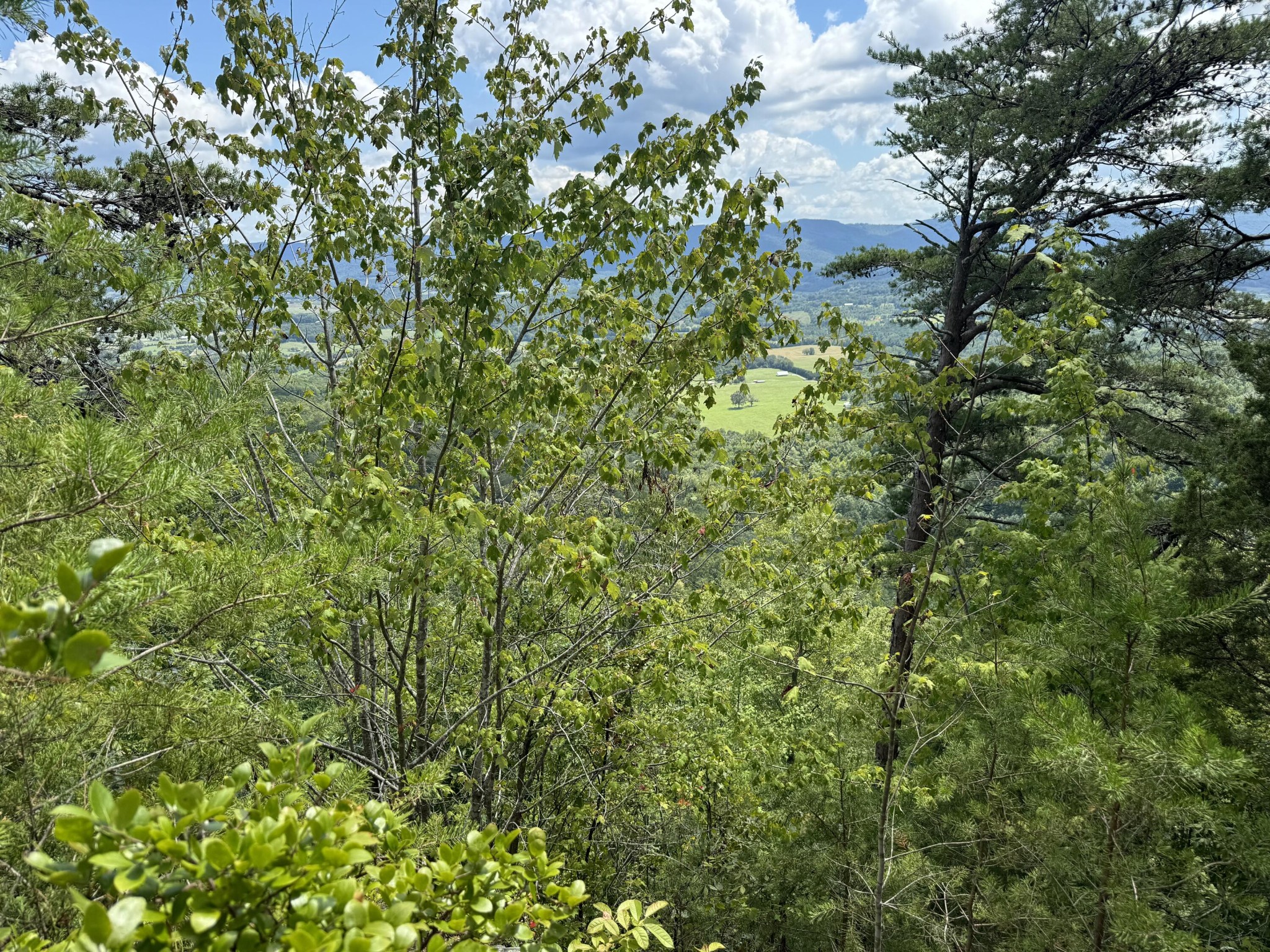 0 Mountain Lake Circle Pikeville TN 37367