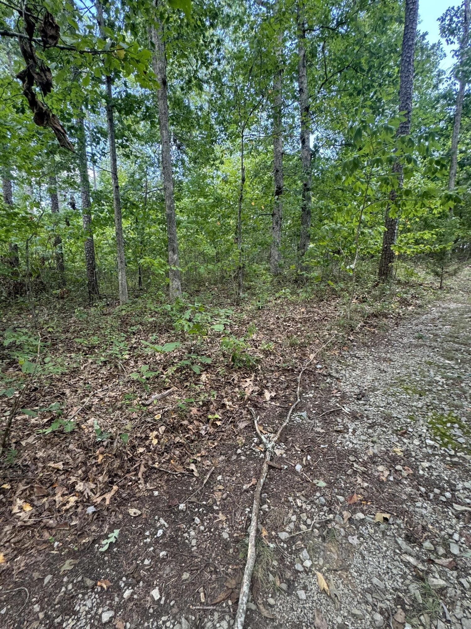 0 Mountain Lake Circle Pikeville TN 37367
