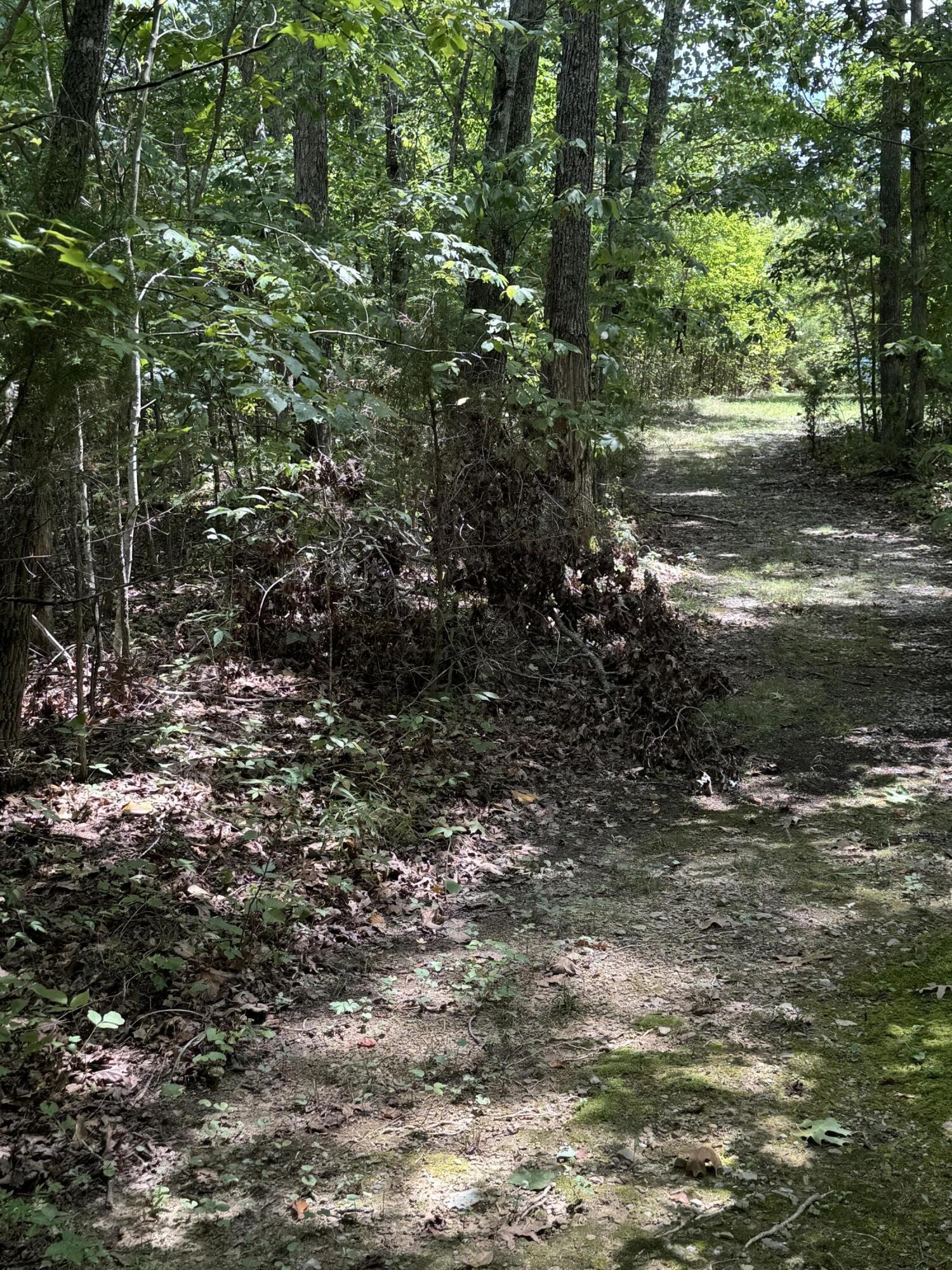0 Mountain Lake Circle Pikeville TN 37367