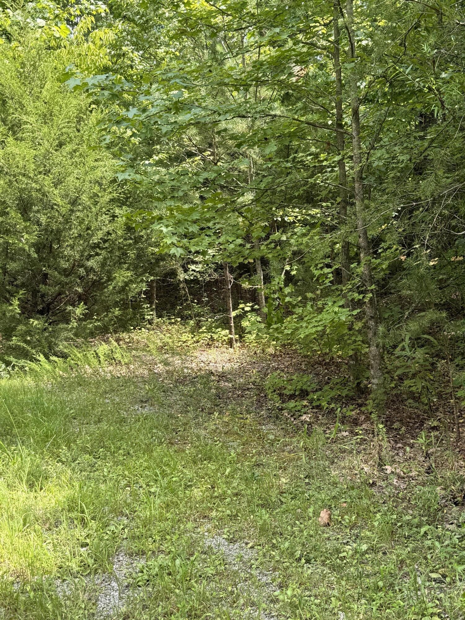 0 Mountain Lake Circle Pikeville TN 37367
