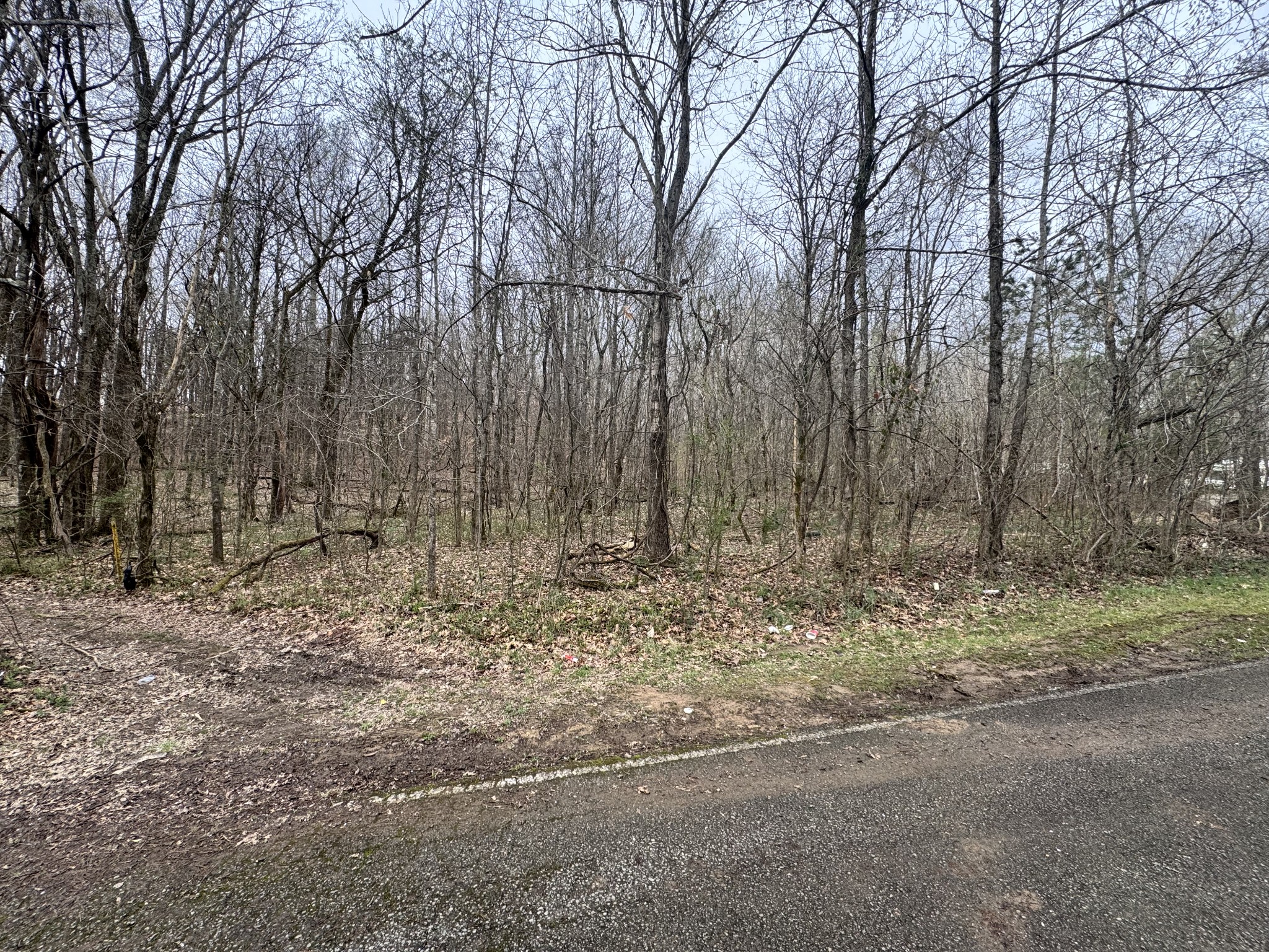 0 Black Bass Trail Charlotte TN 37036