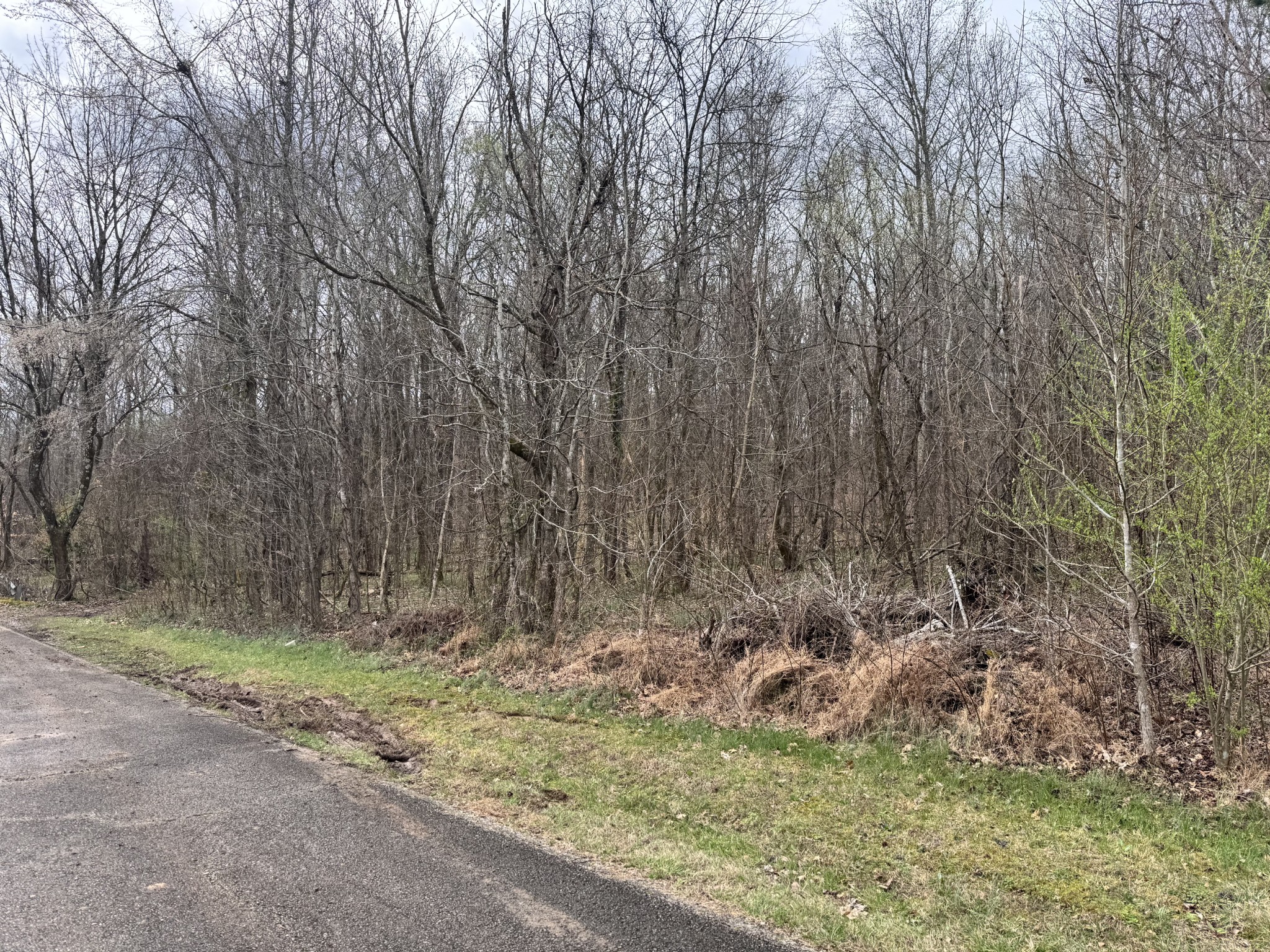 0 Black Bass Trail Charlotte TN 37036