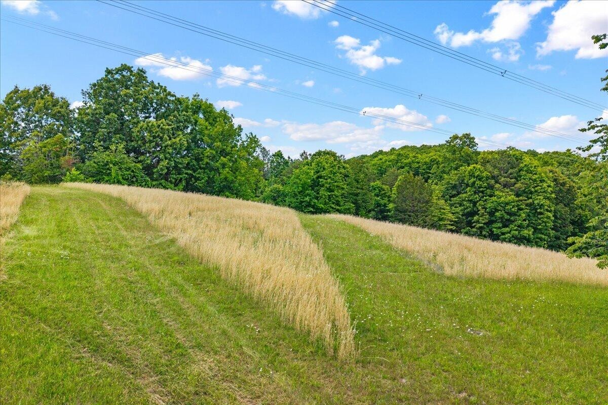 1629 Wasson Road Ten Mile TN 37880