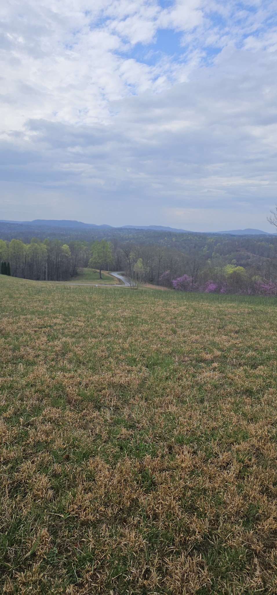 0 Walleye Road Hilham TN 38568