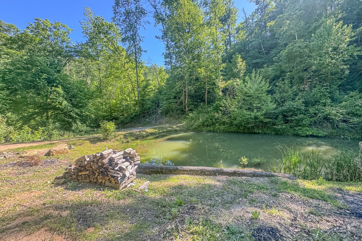 0 Lost Hollow Lane Ashland City TN 37015