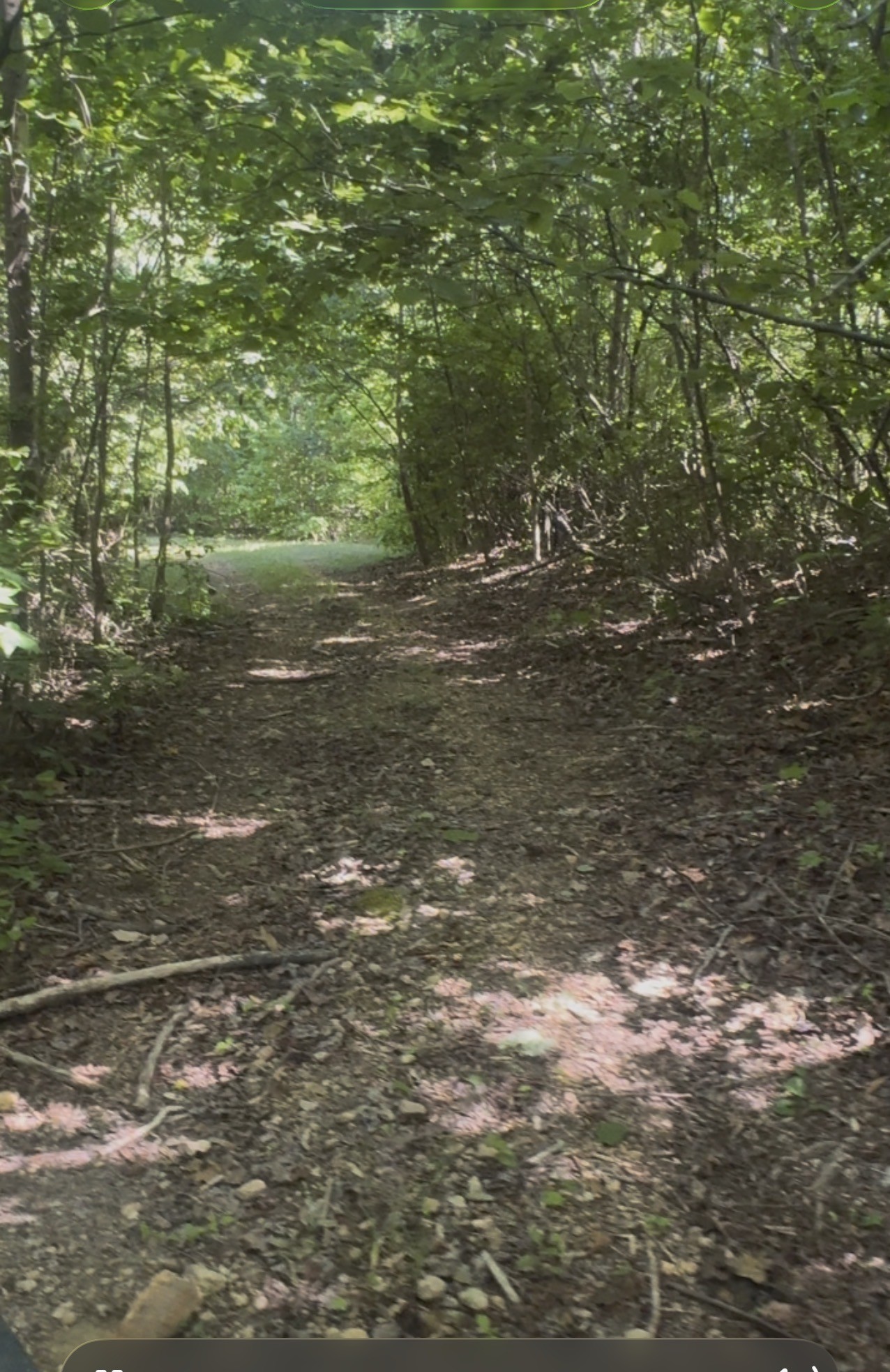 0 Lost Hollow Lane Ashland City TN 37015