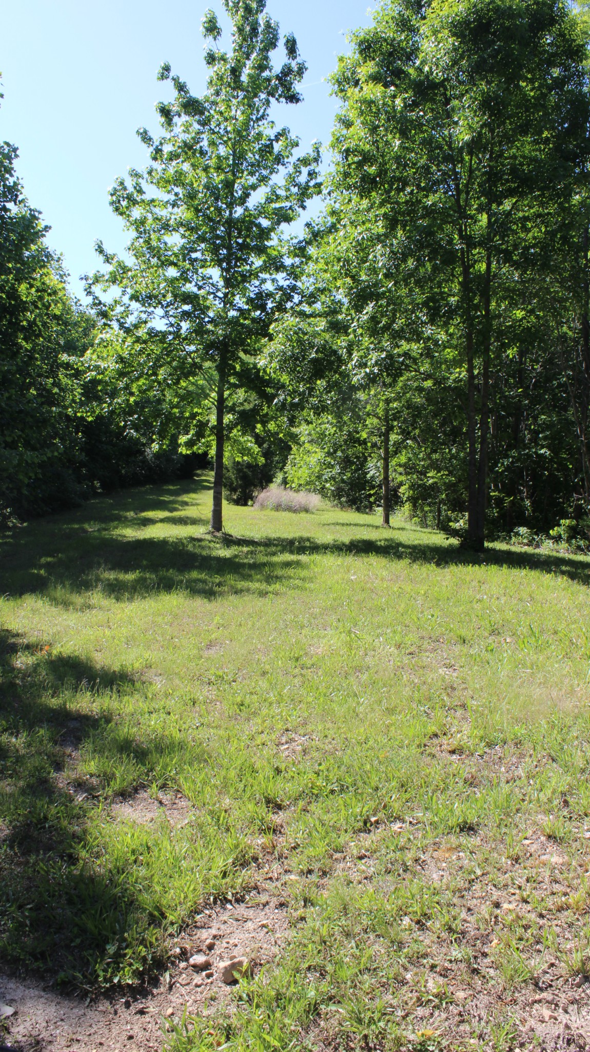 0 Lost Hollow Lane Ashland City TN 37015